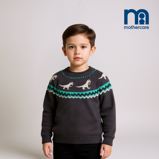 Boys Dino Knitted Sweater – Grey Color