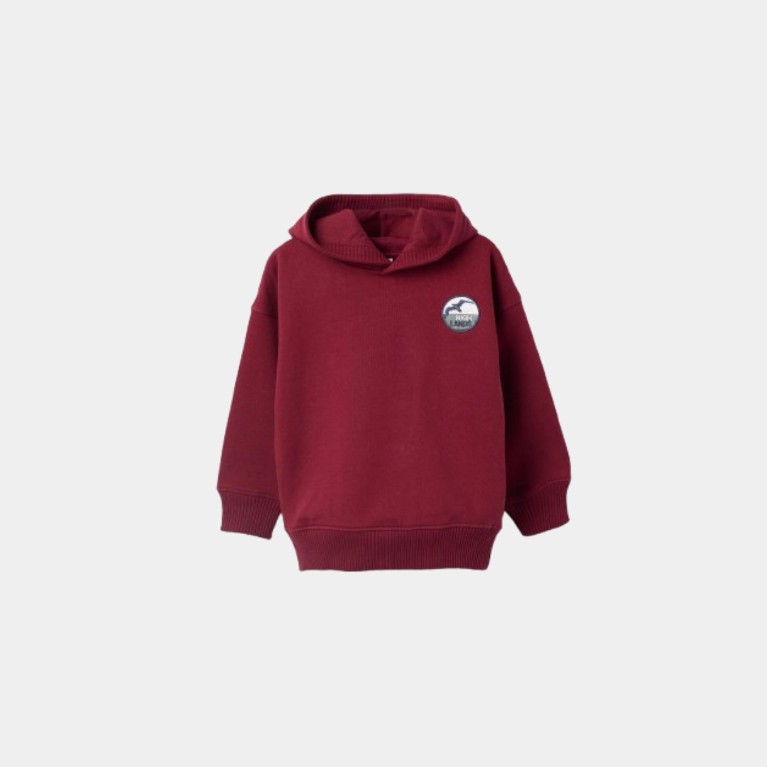Premium Maroon Fleece Hoodie for Boys