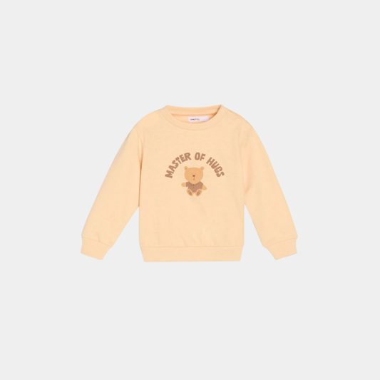 Pack of 3 | Boys Sweatshirts – Multicolor