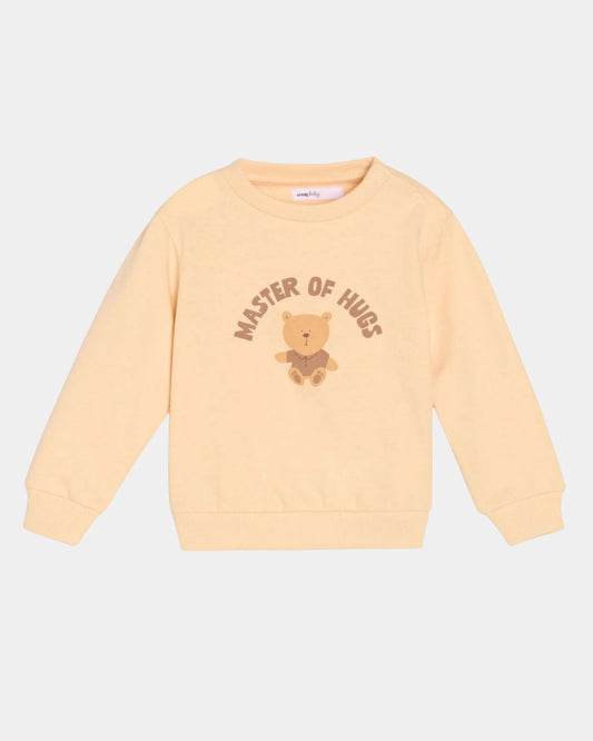 Pack of 3 | Boys Sweatshirts – Multicolor