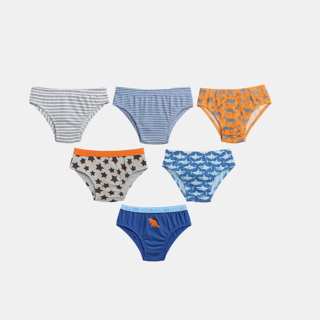 Boys Printed & Striped Briefs - Pack of 6 | Multi colours